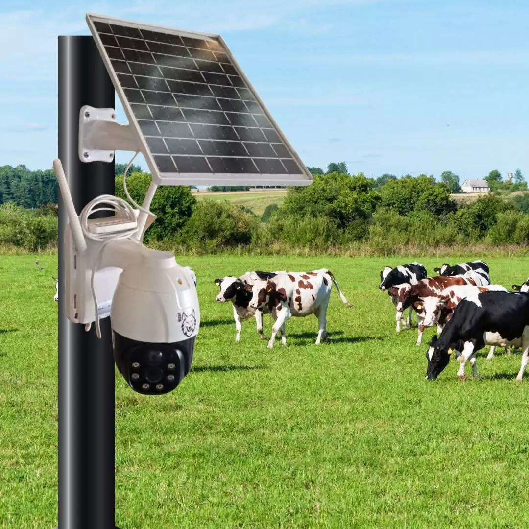 Solar-powered security camera mounted on a pole in a pasture